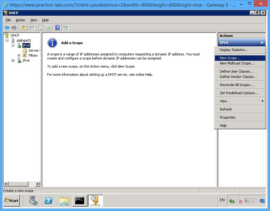 Practice Labs screenshot.